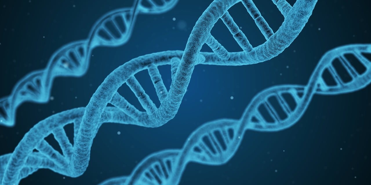 Mavi tonlarda DNA çift sarmalı